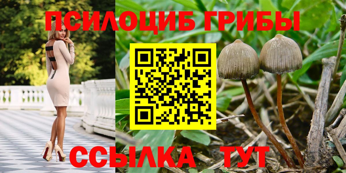 Псилоцибиновые грибы MAGIC MUSHROOMS Шадринск