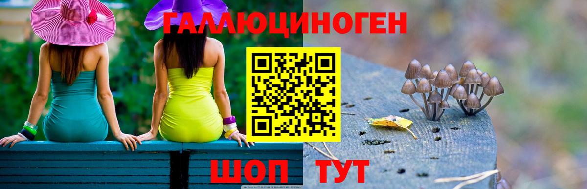 Псилоцибиновые грибы прущие грибы  Псилоцибиновые грибы ЛСД  продажа наркотиков  Вход с VPN  Шадринск 